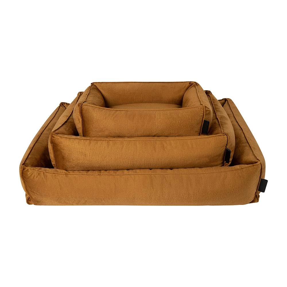 District 70 Hondenmand Shimmer Ochre